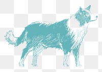  Png boder collie dog sketch illustration, transparent background