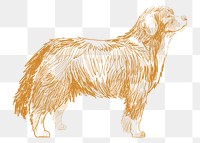  Png bernese mountain dog sketch illustration, transparent background