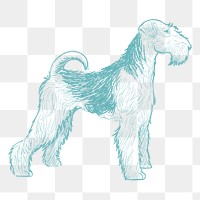  Png airedale terrier sketch illustration, transparent background