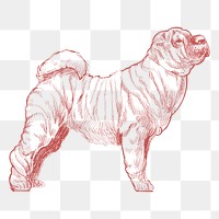  Png shar pei dog sketch illustration, transparent background