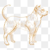  Png pitbull dog sketch illustration, transparent background