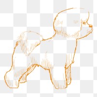 Png bichon frise dog sketch illustration, transparent background