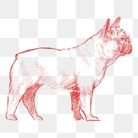 Png dog sketch illustration, transparent background