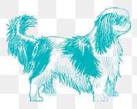 Png king charles spaniel dog sketch illustration, transparent background