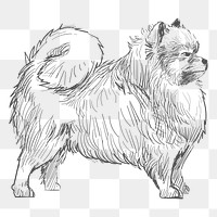 Png pomeranian dog sketch illustration, transparent background