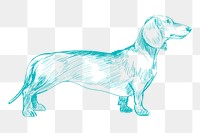 Png dachshud dog sketch illustration, transparent background