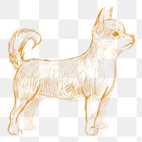 Png chihuahua dog sketch illustration, transparent background