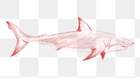 Png red shark sketch illustration, transparent background