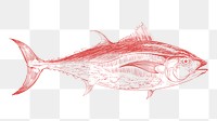 Png tuna fish sketch illustration, transparent background