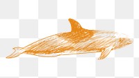 Png melon headed whale sketch illustration, transparent background