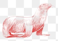 Png sea lion sketch illustration, transparent background