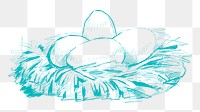 Png eggs in nest sketch illustration, transparent background