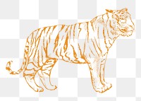 Png yellow tiger sketch illustration, transparent background