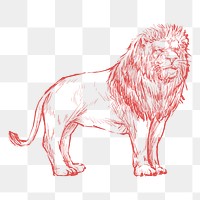 Png red lion sketch illustration, transparent background
