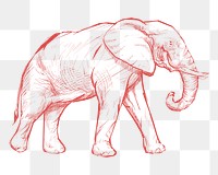 Png red elephant sketch illustration, transparent background
