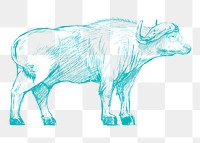 Png blue buffalo sketch illustration, transparent background