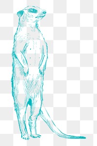 Png blue meerkat sketch illustration, transparent background