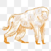 Png yellow monkey sketch illustration, transparent background