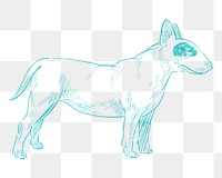 Png blue bull terrier sketch illustration, transparent background