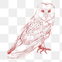  Png red owl design element, transparent background