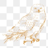  Png yellow owl sketch illustration, transparent background