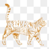  Png yellow walking cat sketch illustration, transparent background