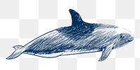  Png melon headed whale design element, transparent background