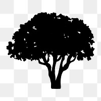 Png  olive tree silhouette, transparent background