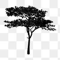 Png  realistic gum tree silhouette, transparent background