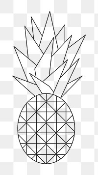 Png pineapple geometric lines element, transparent background