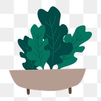 Png potted organic greens sticker, transparent background