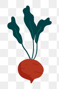 Png fresh beet doodle sticker, transparent background