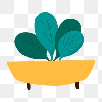 Png organic potted greens  sticker, transparent background