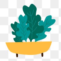 Png potted organic greens  sticker, transparent background