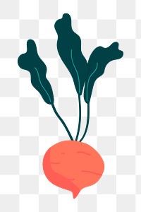 Png fresh beet doodle sticker, transparent background