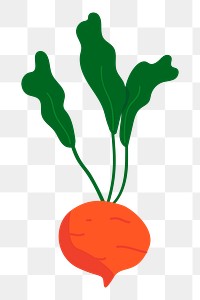 Png orange radish hand drawn sticker, transparent background