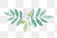 Watercolor leaf png element, transparent background