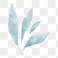 Watercolor leaf png element, transparent background