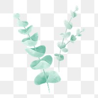 Watercolor leaf png element, transparent background