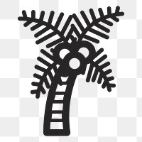 Coconut tree   png icon, transparent background