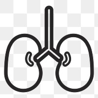 Lung   png icon, transparent background