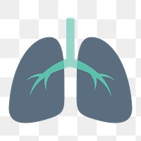 Human lungs icon png, transparent background 