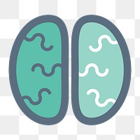 Human brain icon png, transparent background