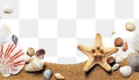 Seashell border png sticker, transparent background