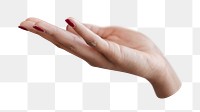 Woman's hand png transparent background