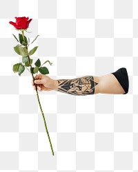 Tattooed hand png holding rose, transparent background