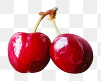 Png cherry, transparent background