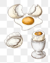 Boiled egg png illustration, transparent background