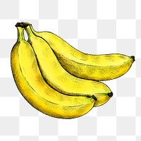 Banana png illustration, transparent background