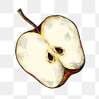 Red apple png illustration, transparent background